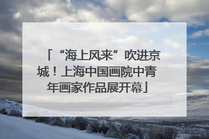 “海上风来”吹进京城！上海中国画院中青年画家作品展开幕