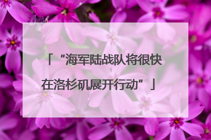 “海军陆战队将很快在洛杉矶展开行动”