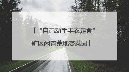 “自己动手丰衣足食”矿区闲置荒地变菜园