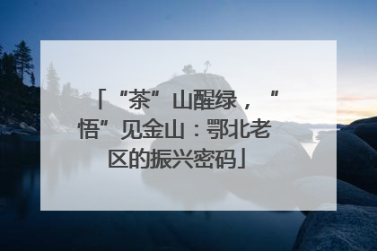 “茶”山醒绿，“悟”见金山：鄂北老区的振兴密码