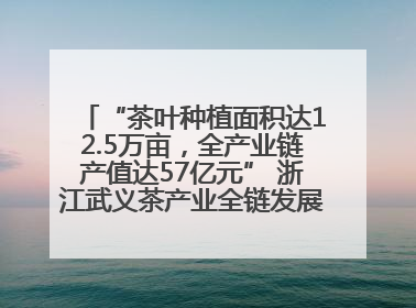 “茶叶种植面积达12.5万亩，全产业链产值达57亿元” 浙江武义茶产业全链发展“加速度”