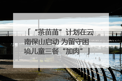 “茶苗苗”计划在云南保山启动 为留守困境儿童三餐“加肉”