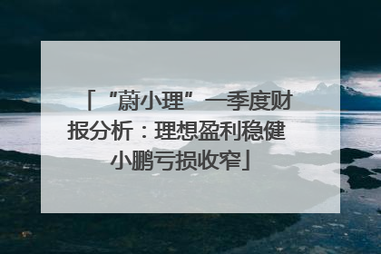 “蔚小理”一季度财报分析：理想盈利稳健 小鹏亏损收窄