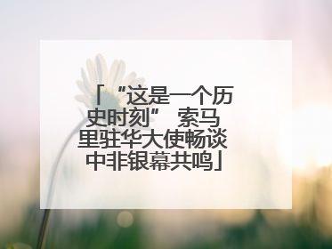 “这是一个历史时刻” 索马里驻华大使畅谈中非银幕共鸣