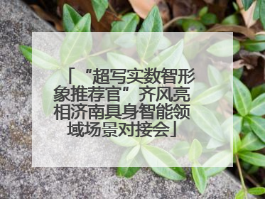 “超写实数智形象推荐官”齐风亮相济南具身智能领域场景对接会