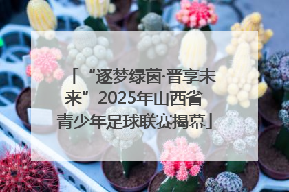 “逐梦绿茵·晋享未来”2025年山西省青少年足球联赛揭幕