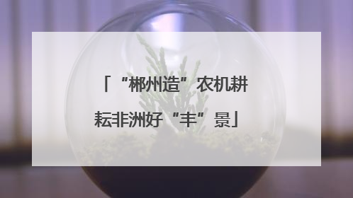 “郴州造”农机耕耘非洲好“丰”景