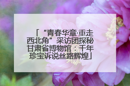 “青春华章·重走西北角”采访团探秘甘肃省博物馆：千年珍宝诉说丝路辉煌