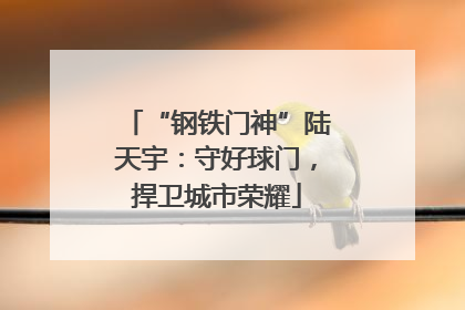 “钢铁门神”陆天宇：守好球门，捍卫城市荣耀