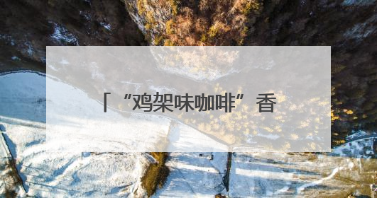 “鸡架味咖啡”香飘“西红市”——沈阳市集解锁“地域限定”消费新场景