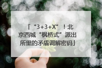 “3+3+X”！北京西城“枫桥式”派出所里的矛盾调解密码