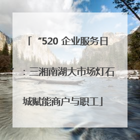 “520 企业服务日”：三湘南湖大市场灯石城赋能商户与职工