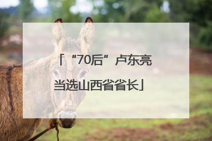 “70后”卢东亮当选山西省省长