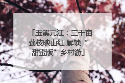 玉溪元江：三千亩荔枝映山红 解锁“甜蜜版”乡村游