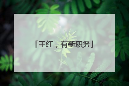 王红，有新职务