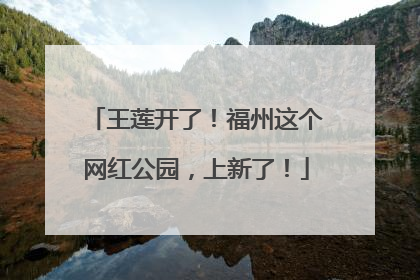 王莲开了！福州这个网红公园，上新了！