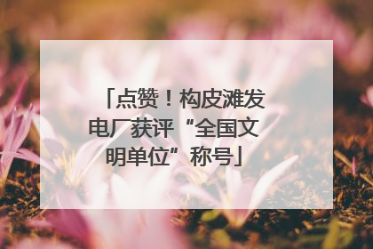 点赞！构皮滩发电厂获评“全国文明单位”称号