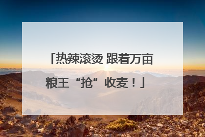 热辣滚烫 跟着万亩粮王“抢”收麦！