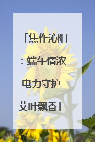 焦作沁阳：端午情浓 电力守护艾叶飘香