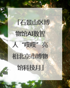 石景山区博物馆AI数智人“噗噗”亮相北京市博物馆科技月
