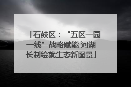 石鼓区：“五区一园一线”战略赋能 河湖长制绘就生态新图景