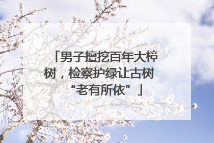 男子擅挖百年大樟树，检察护绿让古树“老有所依”