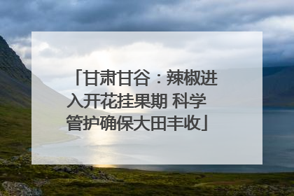 甘肃甘谷：辣椒进入开花挂果期 科学管护确保大田丰收