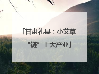 甘肃礼县：小艾草“链”上大产业