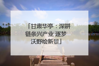 甘肃华亭：深耕链条兴产业 逐梦沃野绘新景