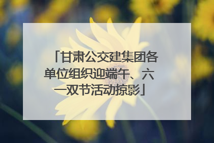 甘肃公交建集团各单位组织迎端午、六一双节活动掠影