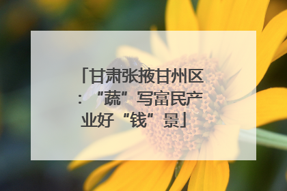 甘肃张掖甘州区：“蔬”写富民产业好“钱”景
