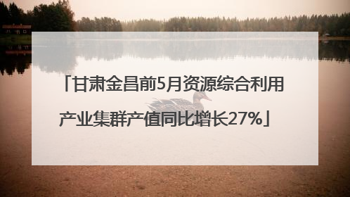 甘肃金昌前5月资源综合利用产业集群产值同比增长27%
