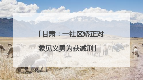 甘肃：一社区矫正对象见义勇为获减刑