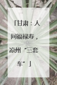 甘肃：人间福禄寿，凉州“三套车”