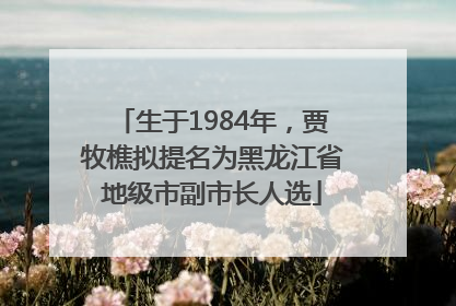 生于1984年，贾牧樵拟提名为黑龙江省地级市副市长人选