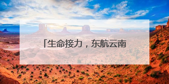生命接力,东航云南高效协作成功保障4例人体捐献器官运输