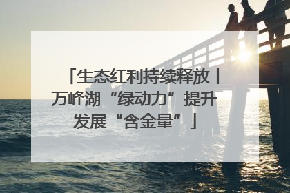 生态红利持续释放丨万峰湖“绿动力”提升发展“含金量”
