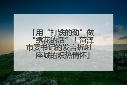 用“打铁的劲”做“绣花的活”！菏泽市委书记的发言折射一座城的炽热情怀