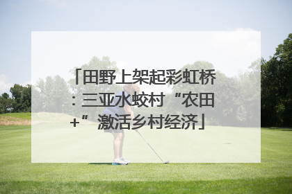 田野上架起彩虹桥：三亚水蛟村“农田+”激活乡村经济