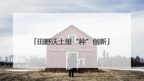 田野沃土里“种”创新
