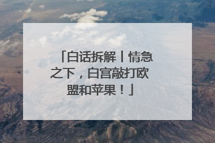 白话拆解丨情急之下，白宫敲打欧盟和苹果！