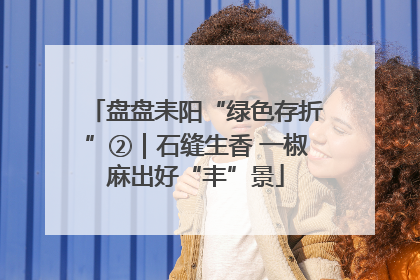 盘盘耒阳“绿色存折”②｜石缝生香 一椒麻出好“丰”景