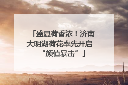 盛夏荷香浓！济南大明湖荷花率先开启“颜值暴击”