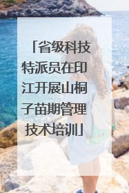 省级科技特派员在印江开展山桐子苗期管理技术培训
