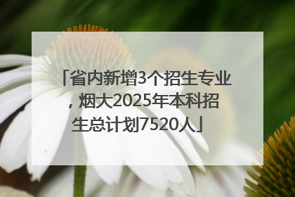 省内新增3个招生专业，烟大2025年本科招生总计划7520人