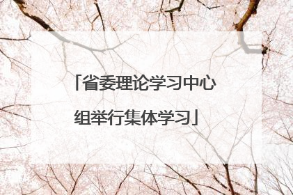 省委理论学习中心组举行集体学习