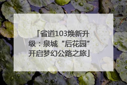 省道103焕新升级：泉城“后花园”开启梦幻公路之旅