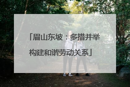 眉山东坡：多措并举构建和谐劳动关系