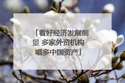 看好经济发展前景 多家外资机构唱多中国资产