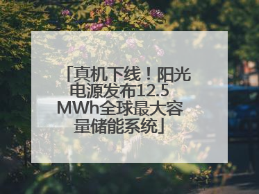 真机下线！阳光电源发布12.5MWh全球最大容量储能系统